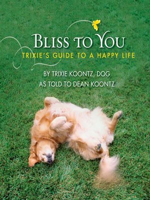 cover image of Bliss to You